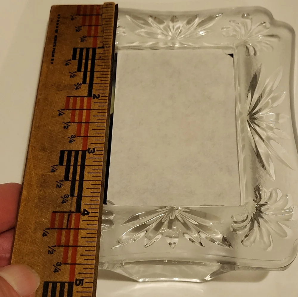 Mikasa Floral Frosted Glass Frame 2x3